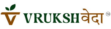 logo (2)